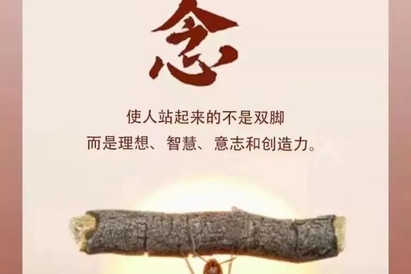 1991年6月19日出生的人命运解析与人生智慧 1991年6月19日出生的人命运解析与人生智慧