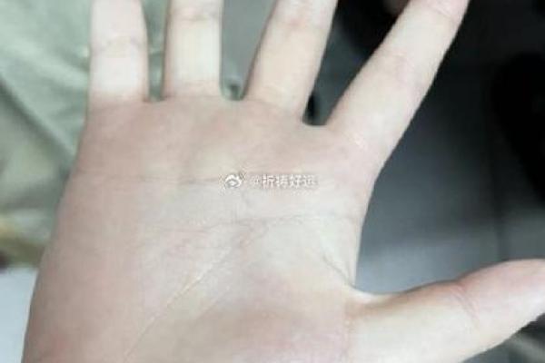 解密水克龙:探寻命格背后的智慧与奥秘 解密水克龙:探寻命格背后的智慧与奥秘