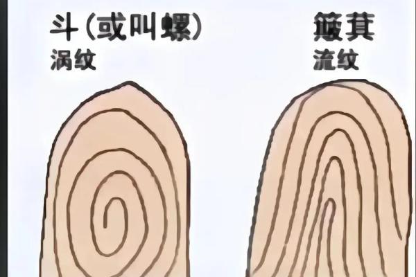 解密手上细纹,揭示你命运的秘密与人生的方向 解密手上细纹,揭示你命运的秘密与人生的方向