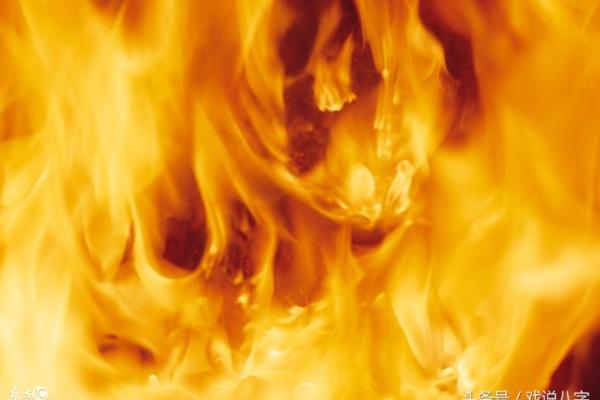 丙火命解析:如何在生活中发挥热情与能量? 丙火命解析:如何在生活中发挥热情与能量?
