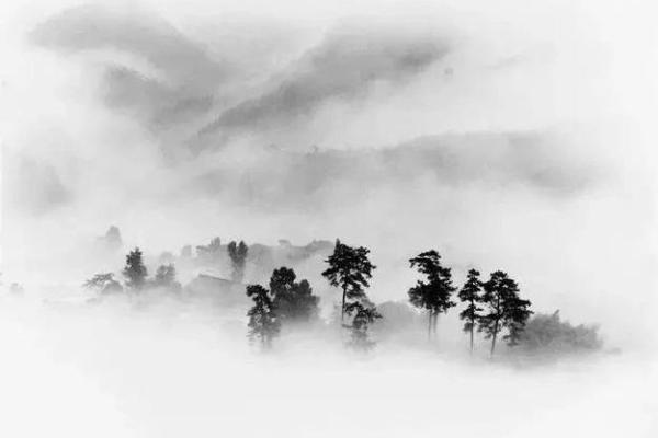 土命之色：探索土命的色彩与它们的深邃意义