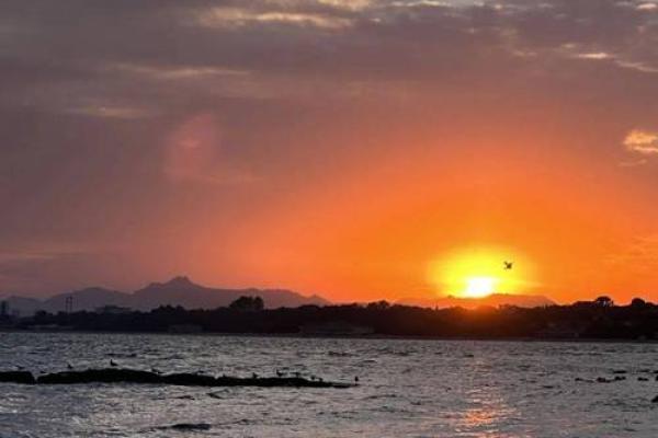 19951227出生的人命运解析:星辰的指引与人生的旅程 19951227出生的人命运解析:星辰的指引与人生的旅程