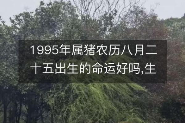 1982年农历命运解析:在变化中寻找方向与激情 1982年农历命运解析:在变化中寻找方向与激情