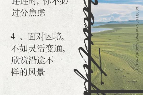 探秘19992.19,命运数字的奥秘与人生启示 探秘19992.19,命运数字的奥秘与人生启示