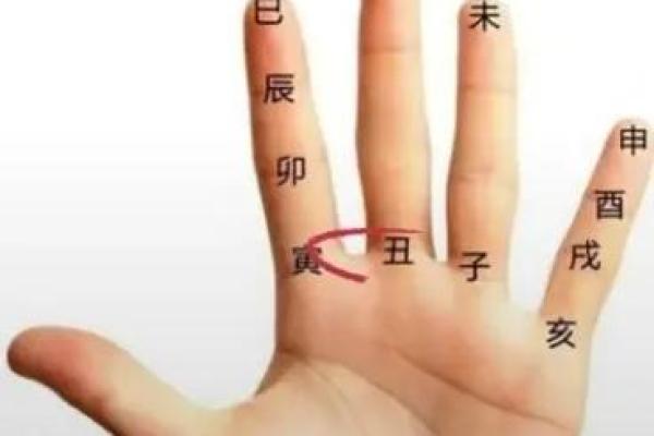 71年属什么命?探索1971年出生者的命理特性与人生方向 71年属什么命?探索1971年出生者的命理特性与人生方向