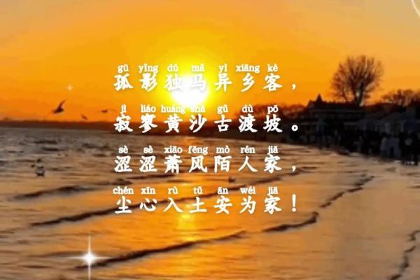 孤寡命人：内心的孤独与生命的思考