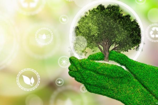 草木皆兵，警惕生活中的小细节与潜在威胁