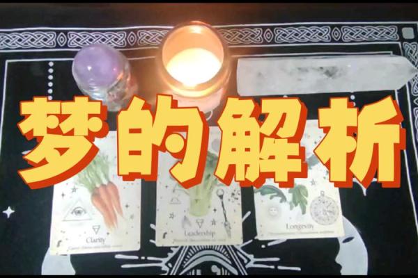 女命更比男命强的深刻解析与启示