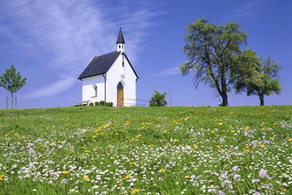 知其命顺其命：生活的智慧与哲学