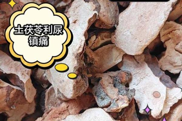 探索药材的命行业：解锁自然的瑰宝与我们的生活