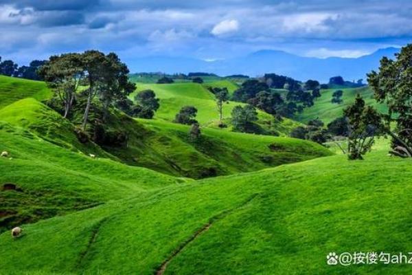 石榴命的佩戴秘籍：让你的运势如花绽放！