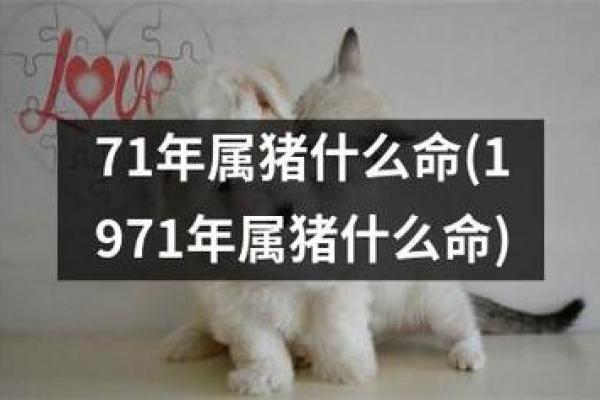 探索1971腊月出生的人命运与性格特点