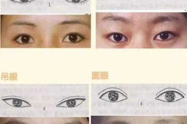 女人的面相与命运的细腻联系,揭示生活的深层密码! 女人的面相与命运的细腻联系,揭示生活的深层密码!