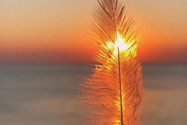 1990年出生的命运与人生:拥抱变化,追逐梦想的旅程 1990年出生的命运与人生:拥抱变化,追逐梦想的旅程