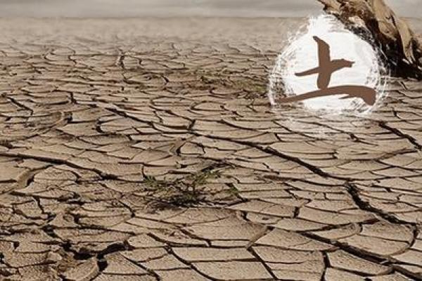 土命男与哪些命的人最配？探索他们的契合与和谐之道