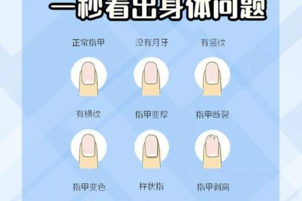 指甲的秘密:通过指甲形状揭示你的命运与性格 指甲的秘密:通过指甲形状揭示你的命运与性格