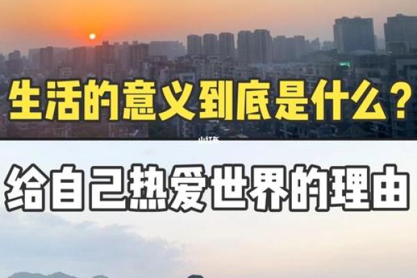 11.12是什么命？探索这个神秘日期背后的意义与能量