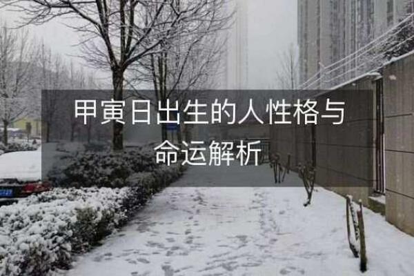 腊月21子时出生的女孩命运解析与人生指引