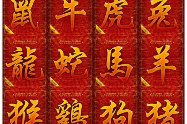 属牛水命的人，最适合和什么命搭配婚姻？深度解析！