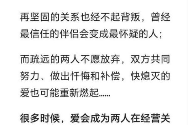 1970年属狗的人命运解析：天生的忠诚与智慧结合