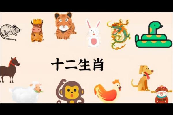 生肖与命的关系：每个生肖的独特命运解析
