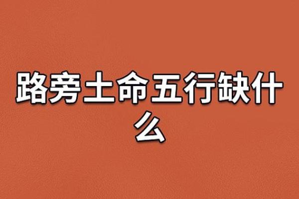 人什么提什么命：换个角度看人生的选择与命运