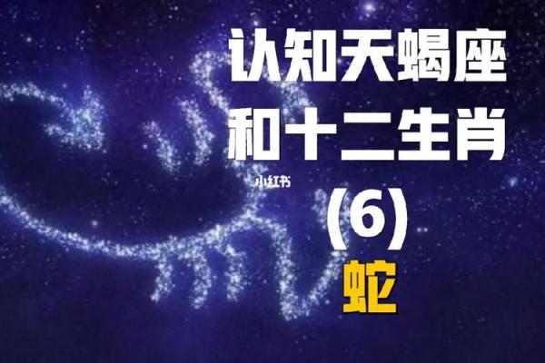 1965年属蛇人的命运与性格解析：既神秘又强大的人生旅程