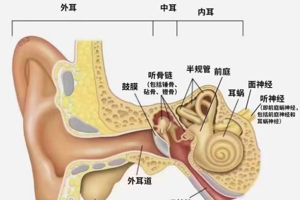 探索“什么危什么命”的词语魅力：语言的奥秘与文化的传承