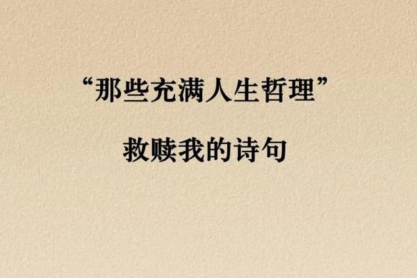 1985年出生的人：命运的启示与人生的机遇