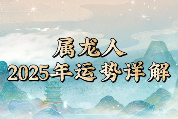 2024年属龙及其命理分析：揭秘龙年运势与个性特点