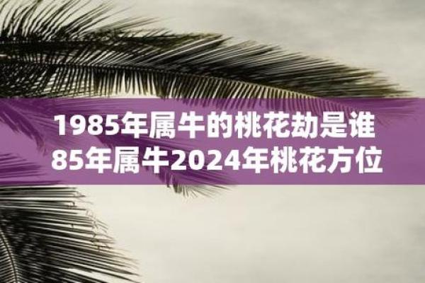 1985属牛：探讨其命理与性格特点的奥秘之旅