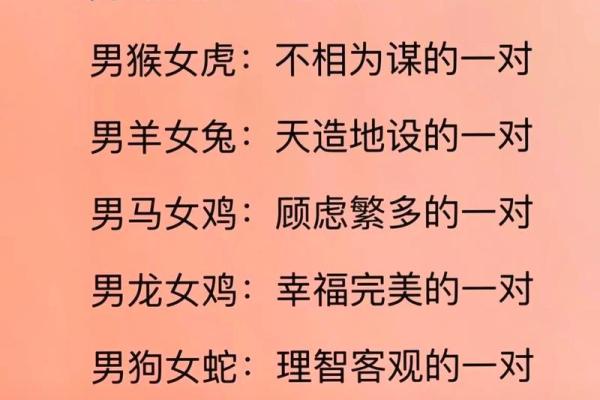 根据猪的出生时辰解析命运：你是命中注定的财富吗？