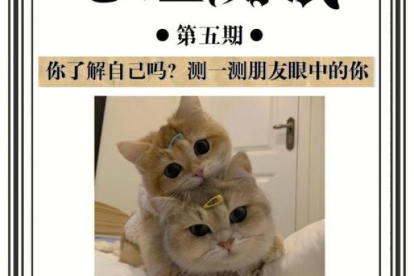 探索命运：通过心理测试揭示你今生的命运之谜