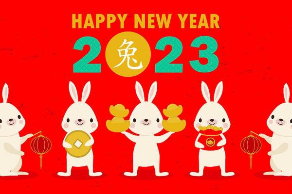2012年兔年命运解析：如何抓住机遇与挑战，成就辉煌人生