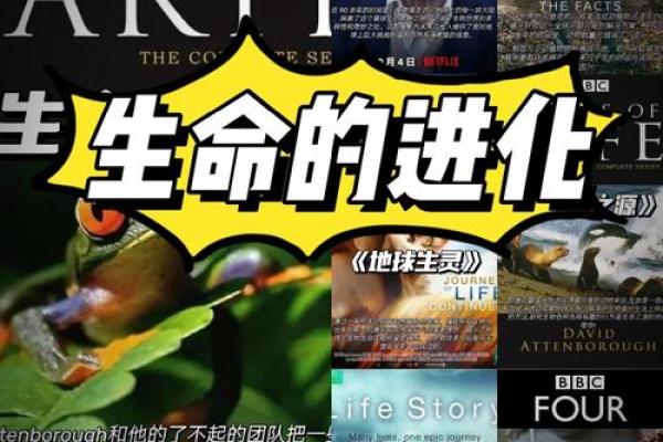 探讨命理：如何识别与锦鲤命相同的生命旅程