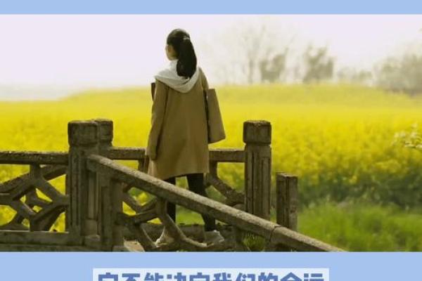 从月份分析命运：了解每个月出生的人的性格与潜能