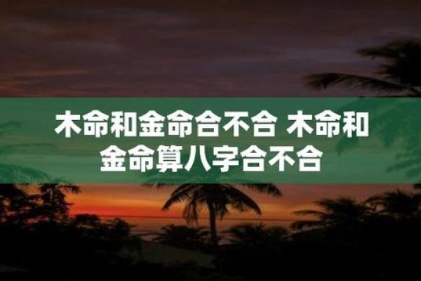 女金命与男命的最佳配对：合适的命理组合解析