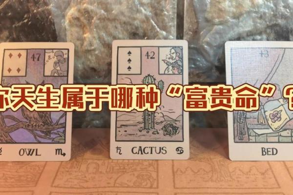 富贵命的阴影：反向命运的深思与启示