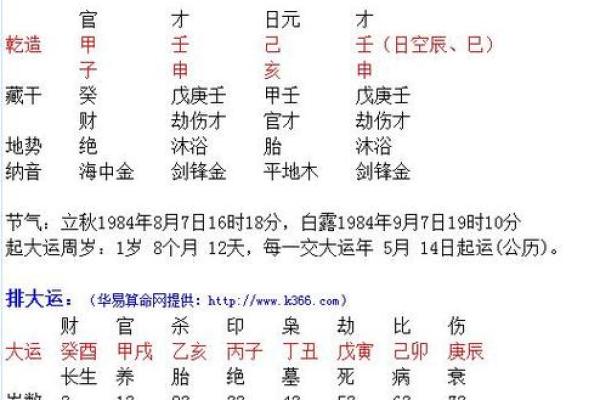 2028猴年出生命运解析：智慧与活力交织的光辉人生