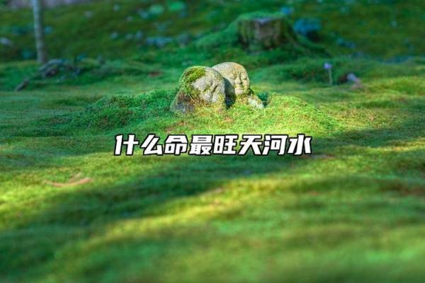 探秘天河水命：与哪种命格人更合拍？
