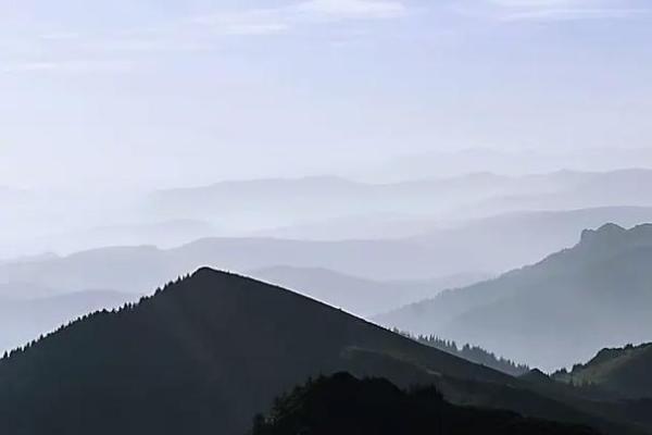 2006年属狗：与命运对话的精彩人生之路