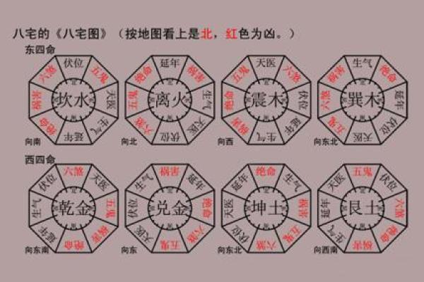 命卦与纳音命的深度解析：揭示命理的奥秘与人生的指引