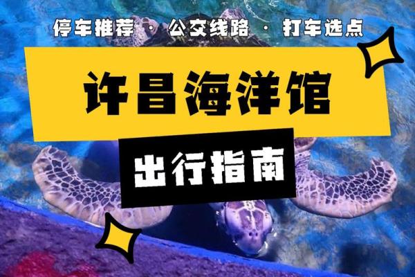 八零后金命的精彩人生：探索命运与梦想的奇妙旅程