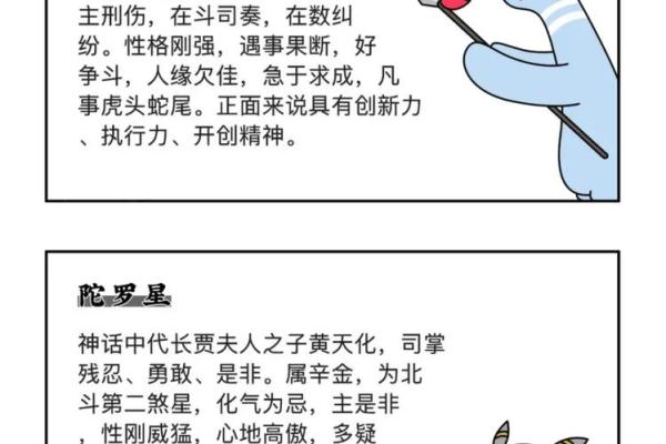 探秘紫薇命盘：流命的深意与影响解析