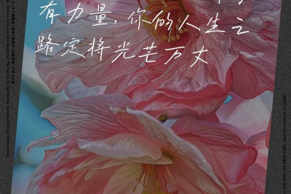 2022虎年回顾：勇敢前行，寻求内心的力量与成长之路