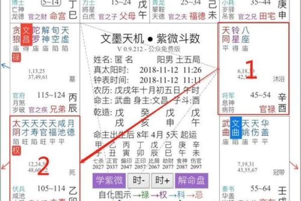探秘紫薇命盘：流命的深意与影响解析