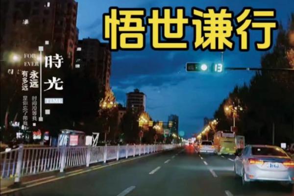 深度解析：1980212的命理密码与人生起伏之道