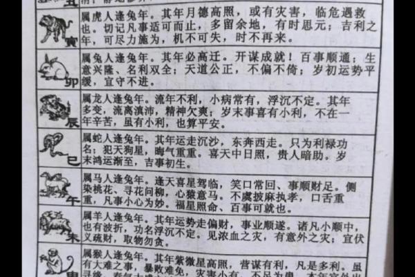 2020年兔年：命运与运势的深度解析