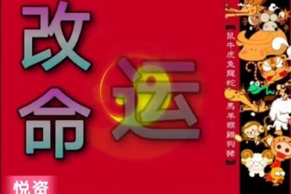 2021年金牛命运解析：2021年如何掌握人生中的契机和挑战？