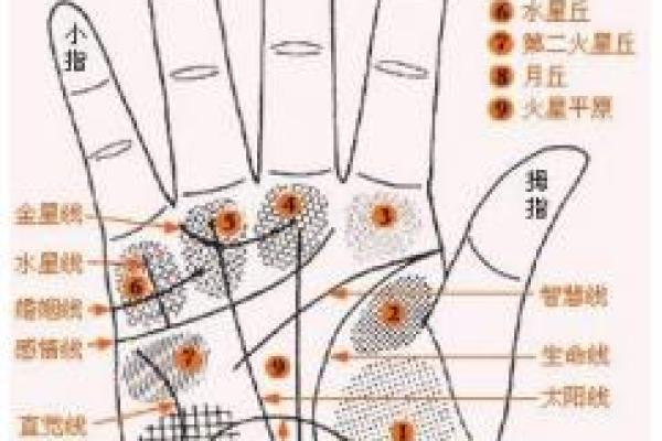 康熙大帝的命运之谜：算命与运势的奥秘探讨